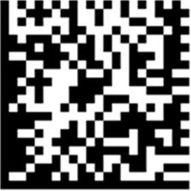 Q Code for Mobile